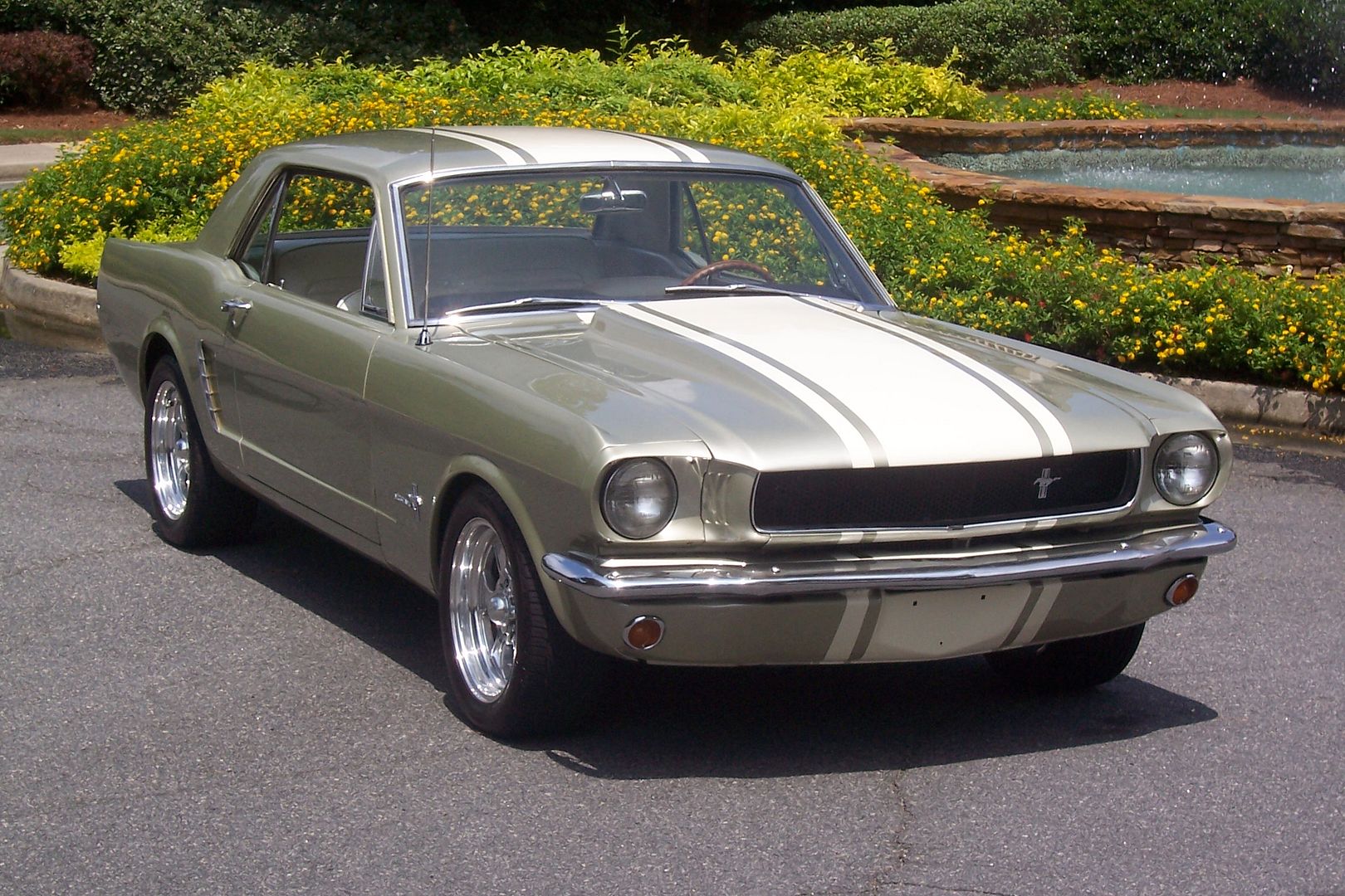 What Colors Did The 65 Mustang Come In